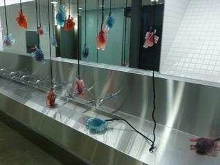 Image from the Hybrid Bodies project